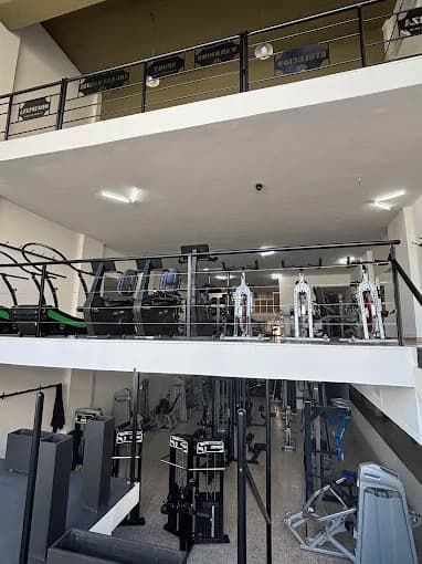 Dos plantas Warriors Sport